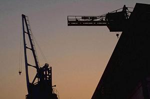 プログラム温度調節器の真価を探る！業界最前線の技術と成功事例を徹底解説