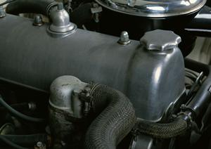 結婚式の招待状をネットで注文する