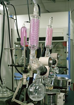 インクジェット出力による印刷にも対応